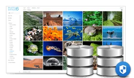 Lưu trữ dữ liệu truyá»n thống hay là NAS Synology Lưu trữ dữ liệu truyá»n thống hay là NAS Synology